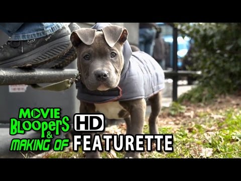 The Drop (2014) Featurette - Rocco The Dog