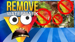 How to Remove Hitfilm Express Watermark