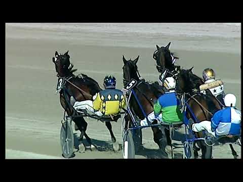 Trotto 26/01/2021 - 2ª corsa