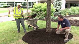 Effective Mulching