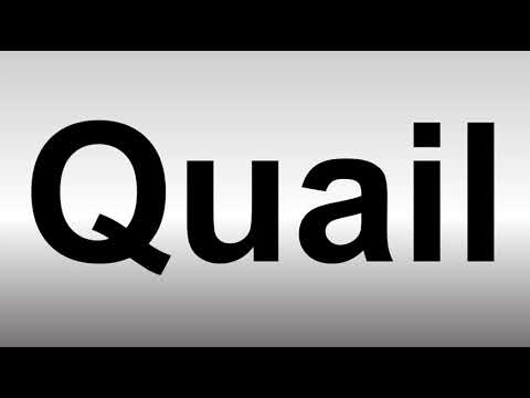 How to Pronounce Quail