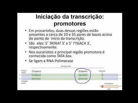 No que consiste a região promotora do DNA?