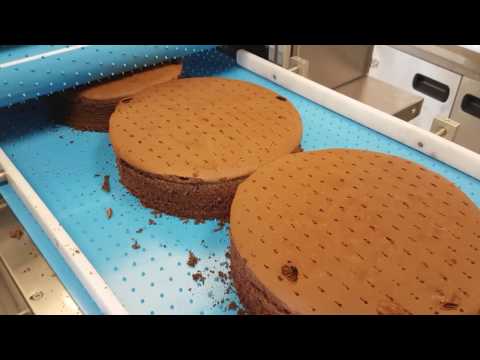 Horizontal Slice Machine for Sponge Cake Model Edge R4