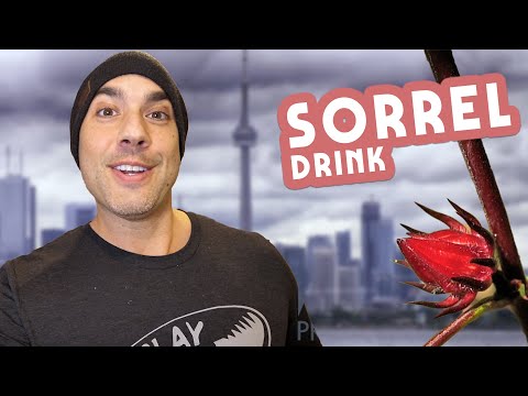 How to Make SORREL Drink if You're Not In JAMAICA....Happy Holidays!