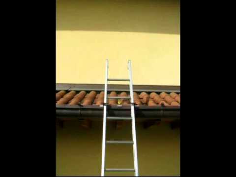 Видеообзор