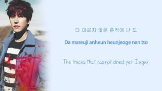 Kyuhyun - 바람 (Wind) lyrics (Hangul/Romanization/English)