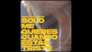 Solo Me Quieres Cuando Estás Triste Lyrics English Translation