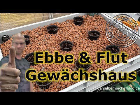 ⋆ Hydroponik zu Hause: Do it yourself Grüns ⋆ 🌼 Farmer