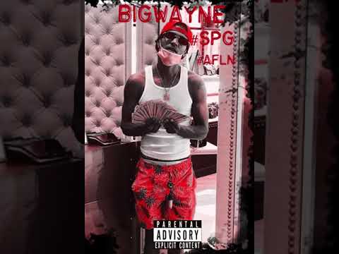 Big Wayne SPG- 🐢shell Music (Official Music Audio)