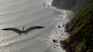 The Long Migration - Walking with Dinosaurs - BBC