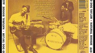 Hound Dog Taylor  - Roll Your Moneymaker