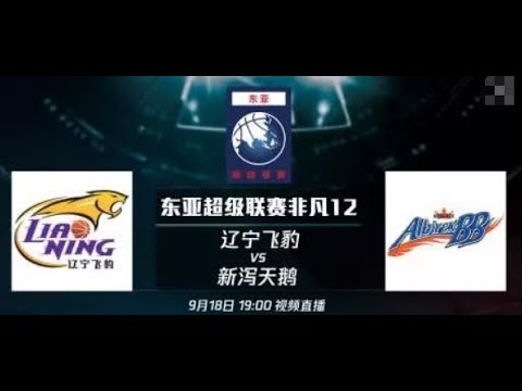 Liaoning (China) VS NIIGATA (Japan) Full Highlights!2019 East Asian Super League!