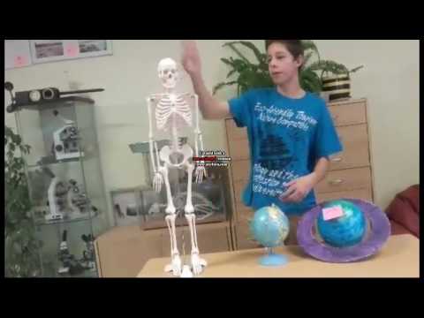 Frycu - Szkoła (Teledysk)