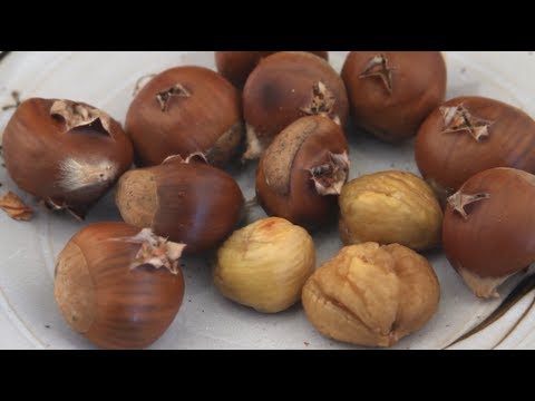 How To Make Chestnuts (Kuri)