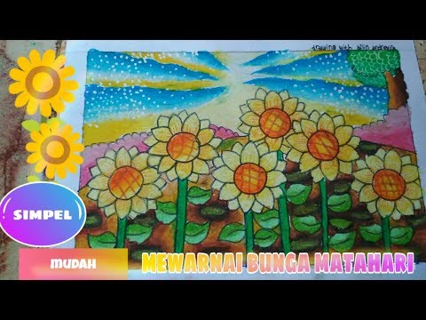 1000 Gambar Bunga Matahari Simpel Terbaik 1000 Gambar Bunga Matahari Simpel Terbaik