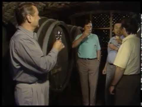 Ansambel Lojzeta Slaka - V vinski kleti (Official Video)