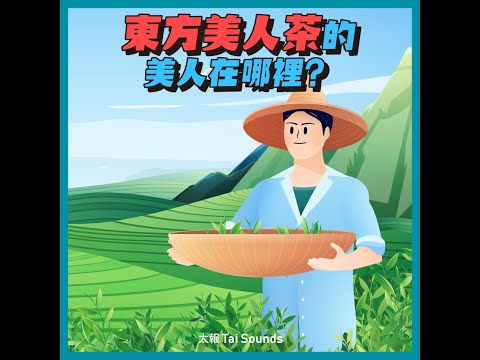 東方美人茶的「美人」在哪裡？｜動畫短知識
