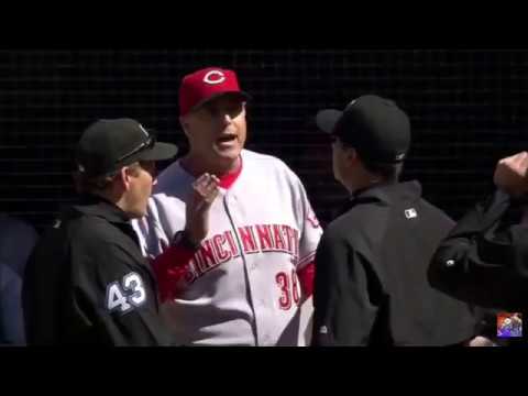 MLB Ejected Before The Game Starts