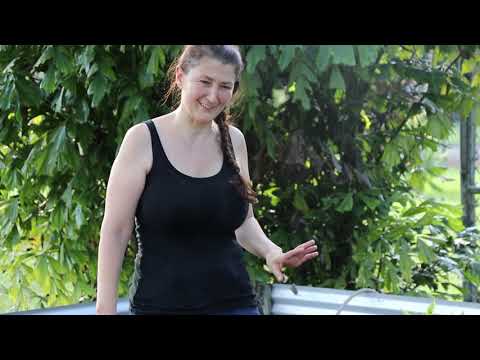 Savage Tortoises Summer Vlog4