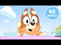 LIVE Water Fun With Bluey And Bingo Let S Play With Bluey Bluey