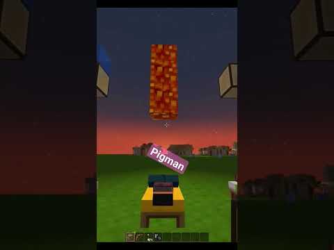Minecraft Showdown: Pigggman vs Villager!