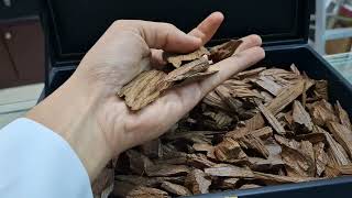 كالمنتان مالينو