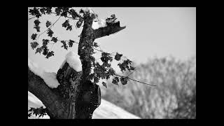 Runrig - Abhainn An T-Sluaigh(The Crowded River)