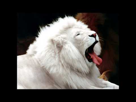 Da'Ville--Just Another Day (Relationship Riddim)