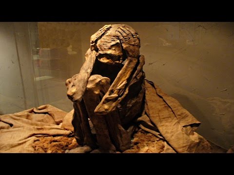 Mumien im Goldland - Das Erbe der Inkas - Terra X (Doku)