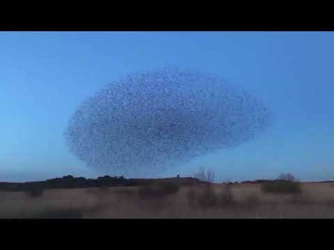 BIG SKY- Matteo Colasanti (piano, synth, e-bow guitar) - ambient-post rock