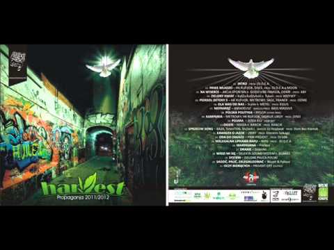 08. POLSKA POLITYKA -- RYGOR (ODME RMX)