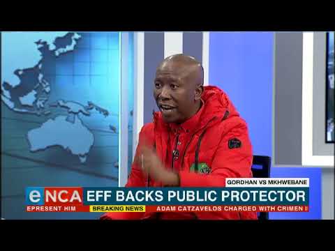 EFF throws weight behind Public Protector