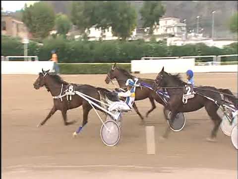 Trotto 12/09/2017 - 7ª corsa