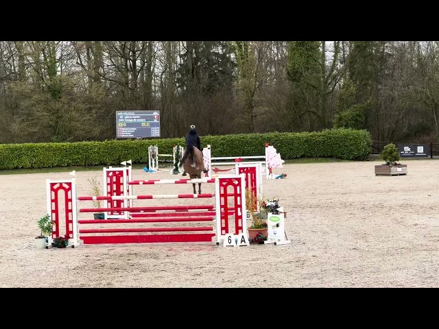 Hongre 10 ans 