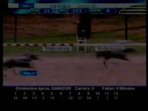 Resumen Viernes 28 de Mayo 2010 - Valencia