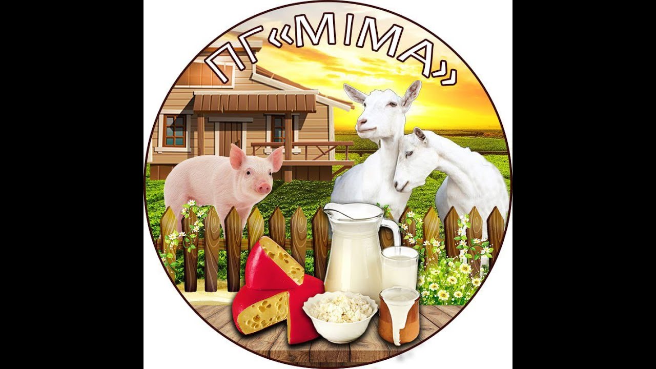 YouTube video preview