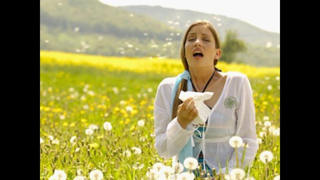 Как спастись от весенней аллергии? (пресс-конференция)