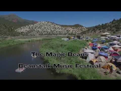 The Magic Beans - Set One - 2017 Beanstalk Music Festival