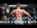 How To Build A BIGGER Back