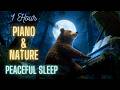 Peaceful Piano Night Nature Sounds 1 Hour Of Calm For Sleep