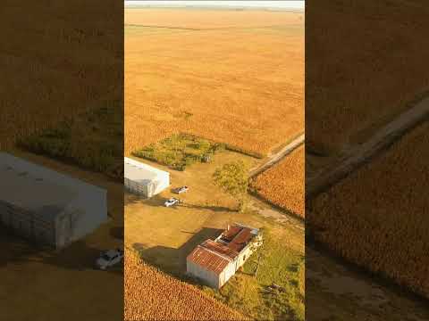 Campo de 990ha| En venta| Colonia Castelar Santa Fe