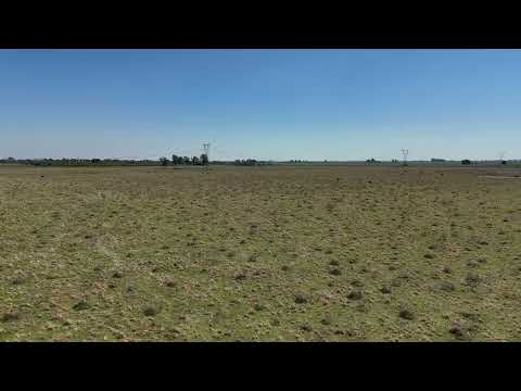 LA CRIOLLA, SANTA FE