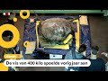 Maanvis van 400 kilo wordt opgezet in een museum