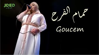 كلمات اغنية حمام الفرح قوسم