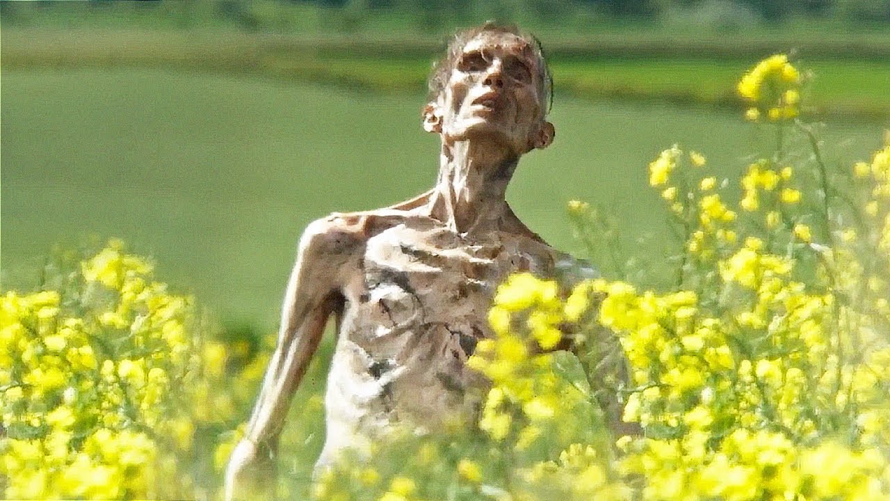 28 Years Later - Видео