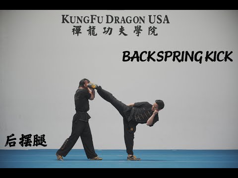 Kung Fu Dragon USA Online Tutorial:  BACKSPRING KICK /Hou Bai Tui/后摆腿