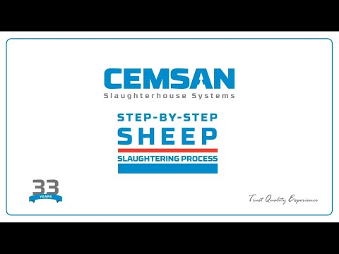 Sheep Slaughter Processing