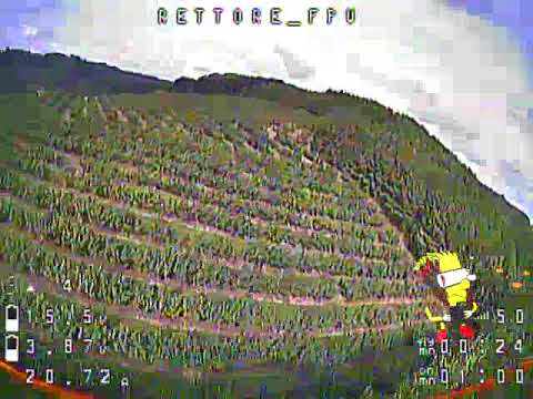 Volta de reconhecimento com final Feliz :/