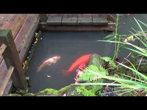 Touched Angel  สัมผัสนางฟ้า  Kookkai