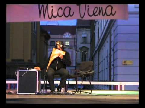 Madalin Luca - music pan flute - De-ar fi dorul